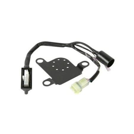 Kit Istallazione Allarme - CRF 1000 Africa Twin