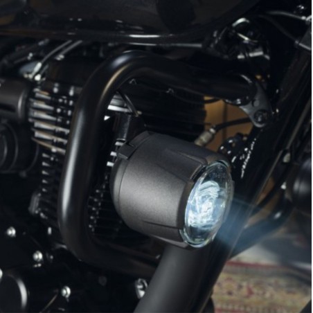 Kit di montaggio per fendinebbia - Honda - CRF 1100 L - Africa Twin